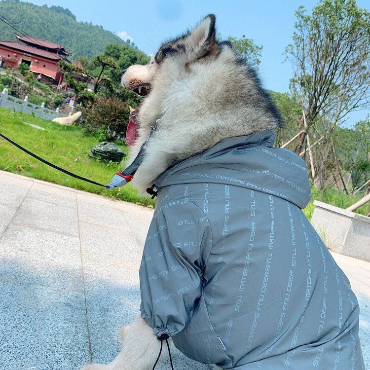Pet Shield: Weatherproof Reflective Pet Clothing - FurrrBabies & More! - Dog Clothing & Accessories