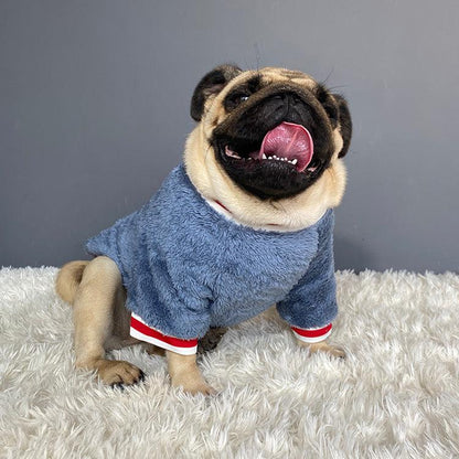Pet Sweater - FurrrBabies & More! - Dog Grooming Supplies & Accessories