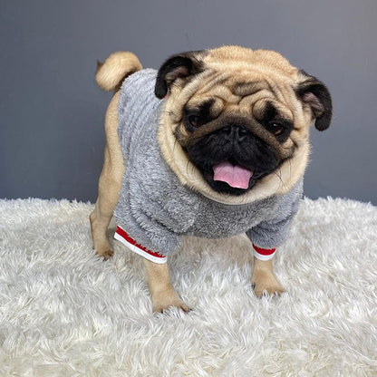Pet Sweater - FurrrBabies & More! - Dog Grooming Supplies & Accessories