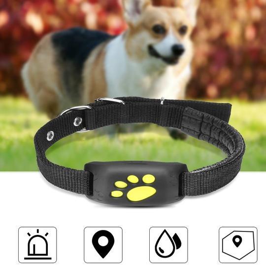 Pet Trackmaster: The Ultimate Gps Pet Tracker - FurrrBabies & More! - Dog Collars, Leashes & Harnesses