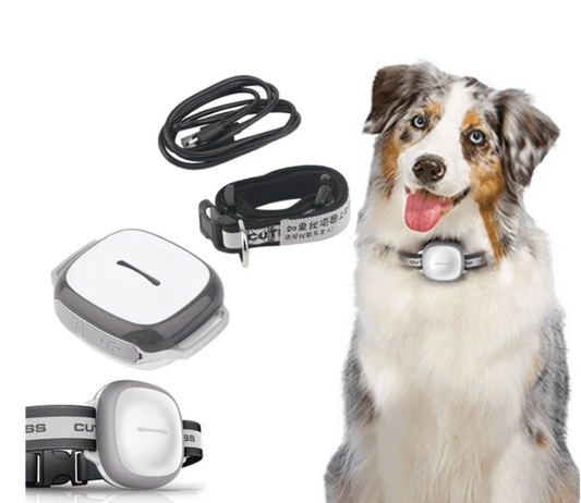 Pet Trackpro - FurrrBabies & More! - Dog Collars, Leashes & Harnesses