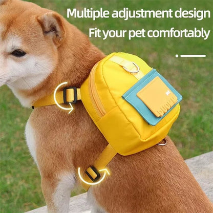 Pet Training Waist Bag Set – The Ultimate On - the - Go Companion for Walks & Rewards - FurrrBabies & More! - 313112987979