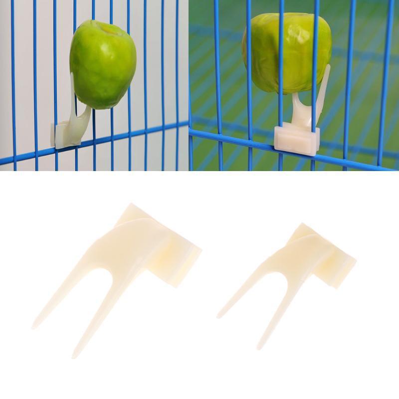 Pet Treat Delight - Bird Fruit Fork Set - FurrrBabies & More! - Bird