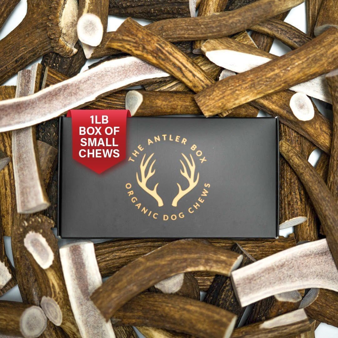 Premium Elk Antler Dog Chews (1 Pound Box) (Small (7 - 8 Pieces) Whole/Split Mixed) - FurrrBabies & More! - 313049146128