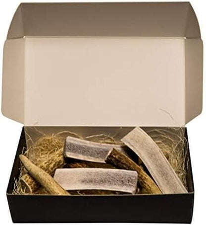 Premium Elk Antler Dog Chews (1 Pound Box) (Small (7 - 8 Pieces) Whole/Split Mixed) - FurrrBabies & More! - 313049146128