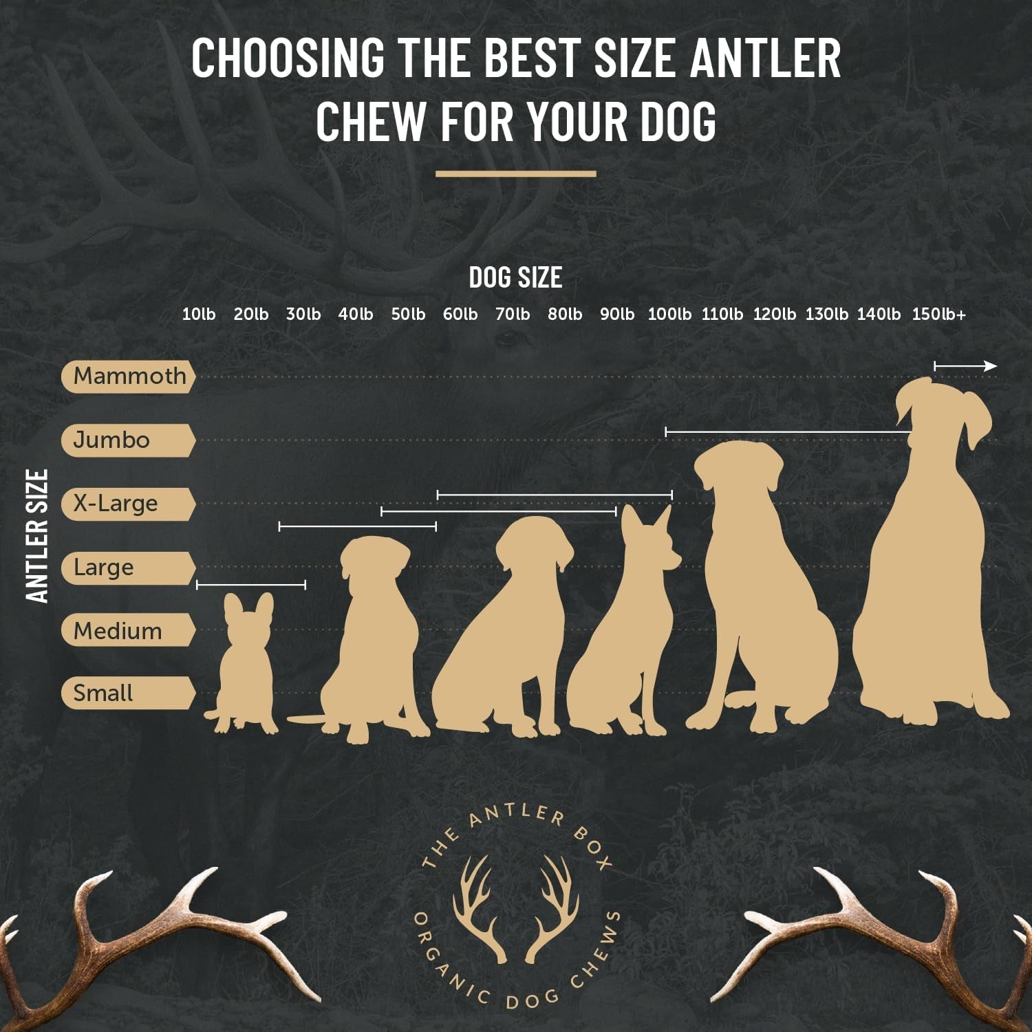 Premium Elk Antler Dog Chews (1 Pound Box) (Small (7 - 8 Pieces) Whole/Split Mixed) - FurrrBabies & More! - 313049146128