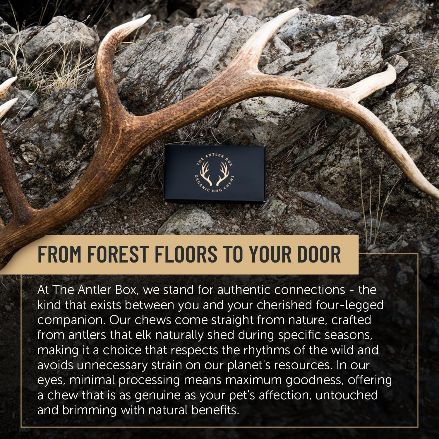 Premium Elk Antler Dog Chews (1 Pound Box) (Small (7 - 8 Pieces) Whole/Split Mixed) - FurrrBabies & More! - 313049146128