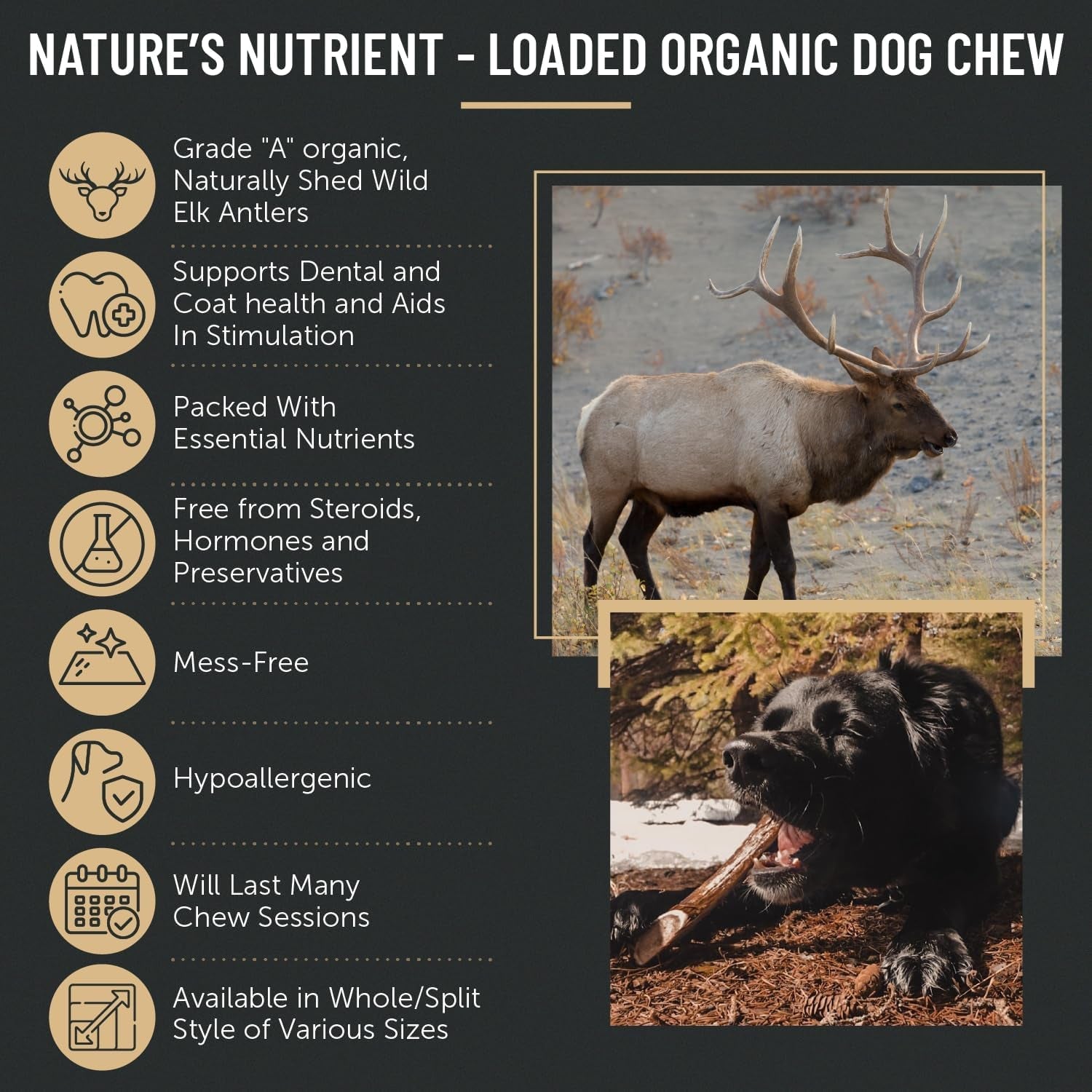 Premium Elk Antler Dog Chews (1 Pound Box) (Small (7 - 8 Pieces) Whole/Split Mixed) - FurrrBabies & More! - 313049146128