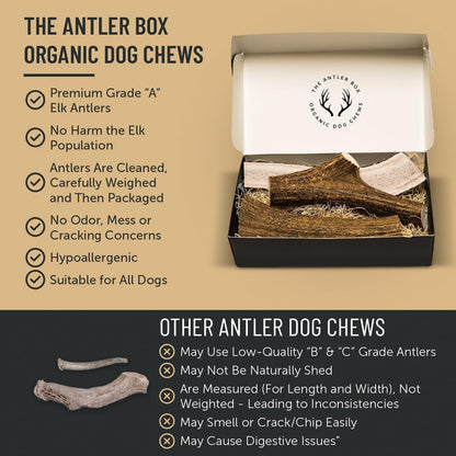 Premium Elk Antler Dog Chews (1 Pound Box) (Small (7 - 8 Pieces) Whole/Split Mixed) - FurrrBabies & More! - 313049146128