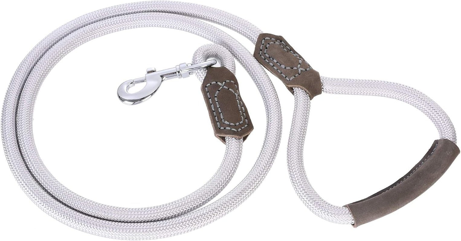 | Premium Leather Dog Leash | Strong Rope Leash | Leather Handle | Zinc Alloy Strong Clasp | Small Medium Large Dogs | 4/5/6 Feet(Sliver, 60 Inch (Pack of 1)) - FurrrBabies & More! - 7445023853838