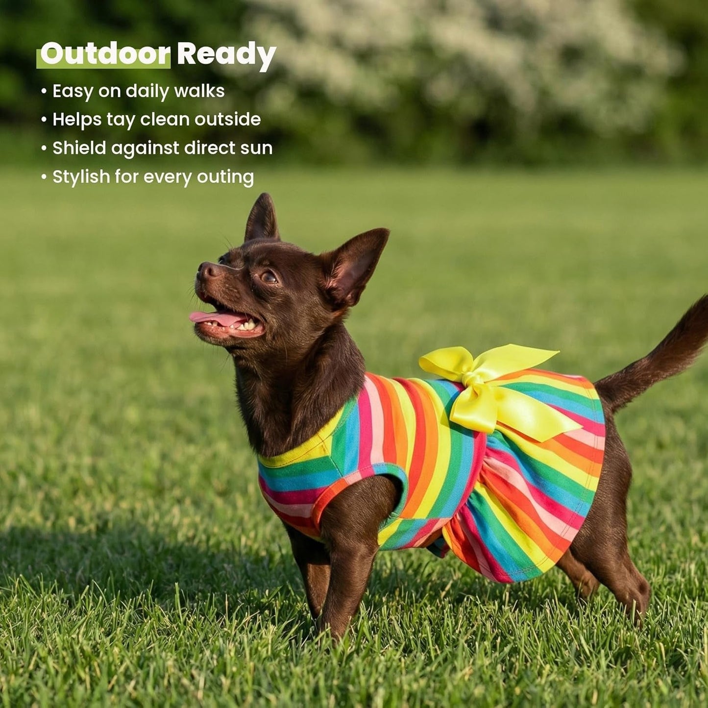 Rainbow Striped Dog Dress, Summer Dog Clothes for Small Dogs Girl, Pet Cat Outfit, 100% Breathable Cotton, Red Yellow Blue, Small - FurrrBabies & More! - 711181124484