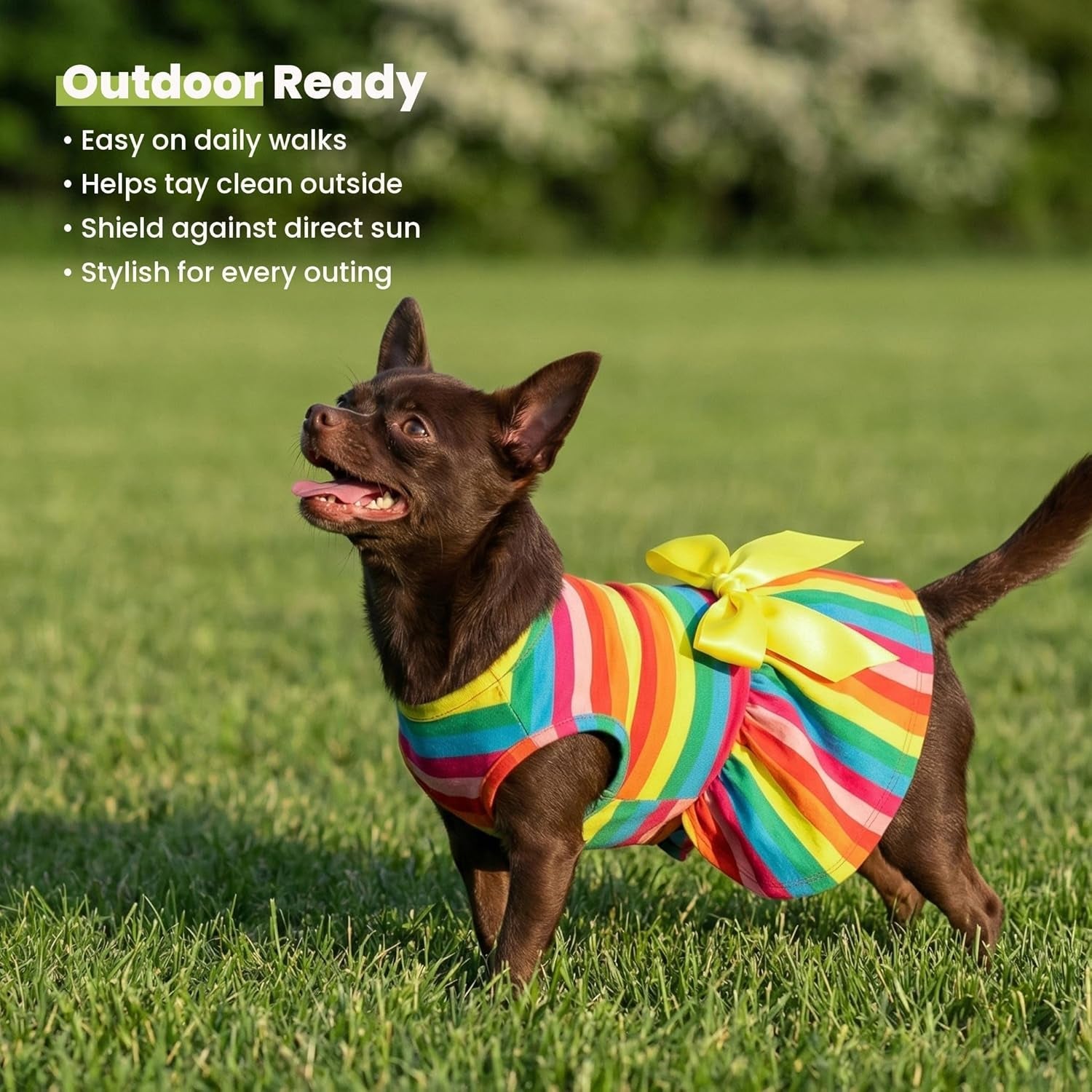 Rainbow Striped Dog Dress, Summer Dog Clothes for Small Dogs Girl, Pet Cat Outfit, 100% Breathable Cotton, Red Yellow Blue, Small - FurrrBabies & More! - 711181124484