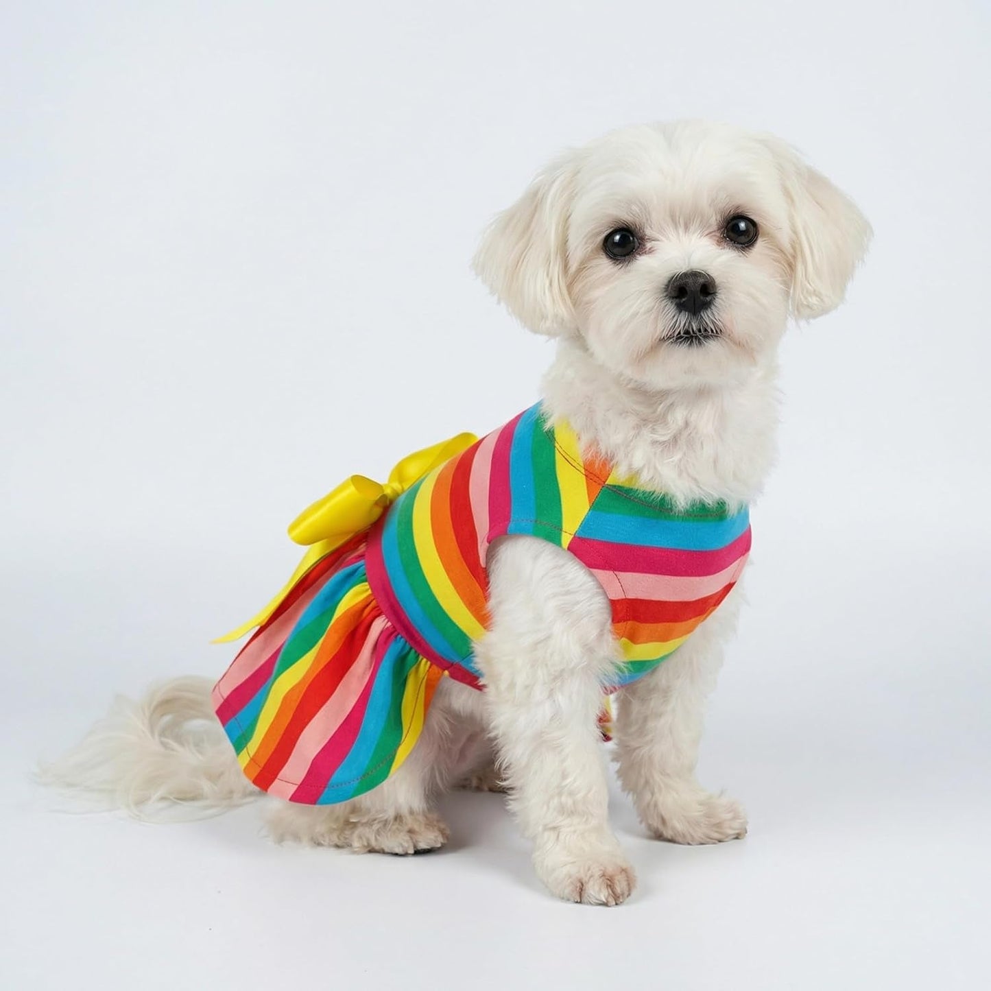 Rainbow Striped Dog Dress, Summer Dog Clothes for Small Dogs Girl, Pet Cat Outfit, 100% Breathable Cotton, Red Yellow Blue, Small - FurrrBabies & More! - 711181124484