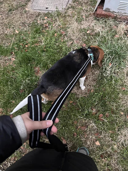Reflective Dog Leash Puppy Walking Lead, Padded Pet Chain Rope，Length 200Cm Truelove Tll2111(Black,M) - FurrrBabies & More! - 313037586592