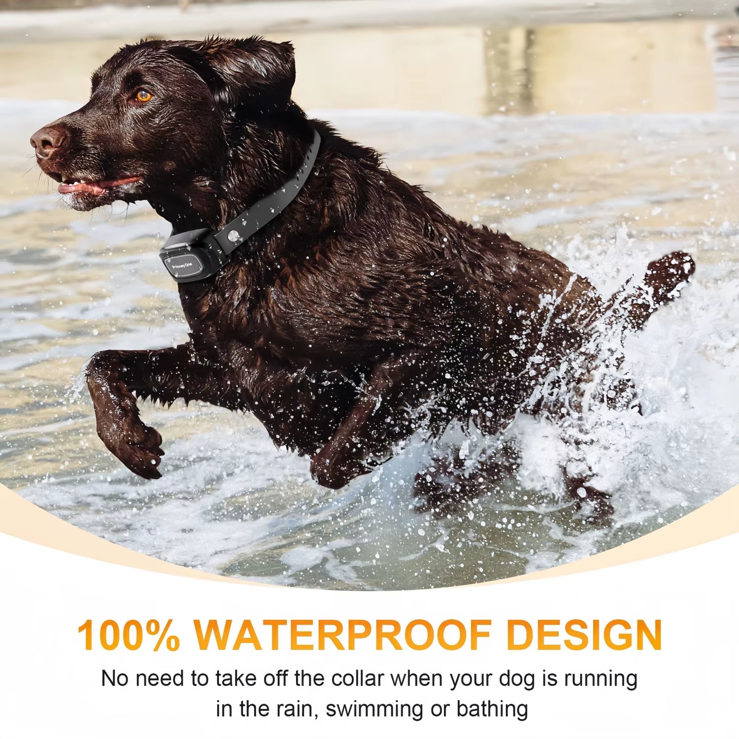 Remote Control Waterproof Pet Behaviorfor 8 - 150Lbs Puppy with Shock Vibration 3300Ft Electric Dog Training Collar for All Dogs - FurrrBabies & More! - 7445038418428