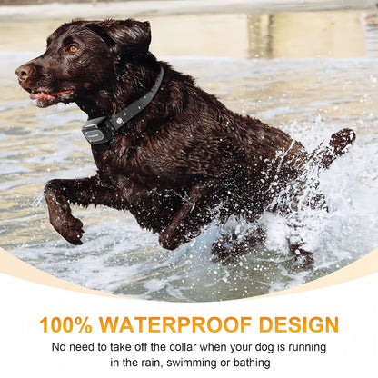Remote Control Waterproof Pet Behaviorfor 8 - 150Lbs Puppy with Shock Vibration 3300Ft Electric Dog Training Collar for All Dogs - FurrrBabies & More! - 7445038418428