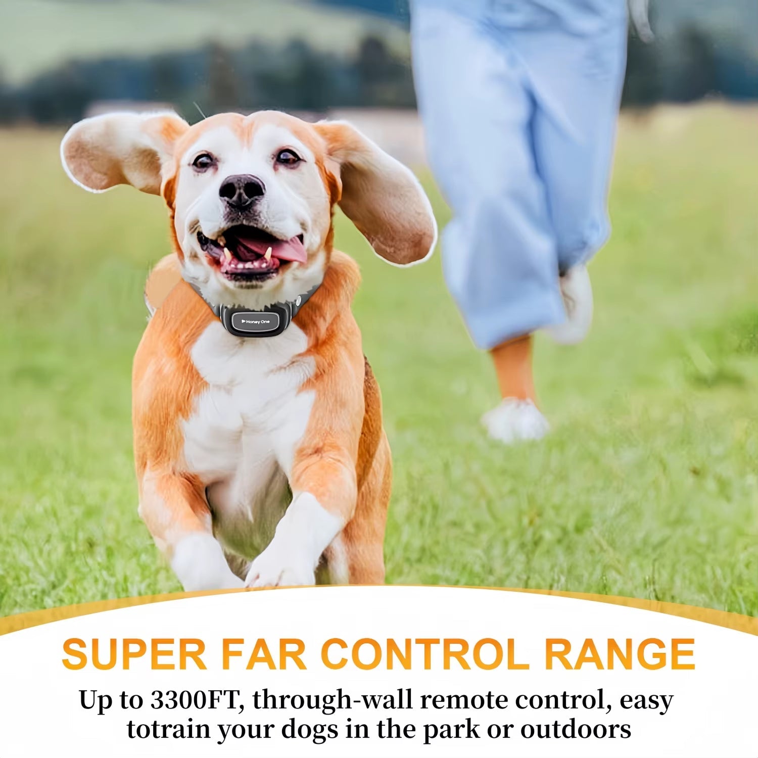 Remote Control Waterproof Pet Behaviorfor 8 - 150Lbs Puppy with Shock Vibration 3300Ft Electric Dog Training Collar for All Dogs - FurrrBabies & More! - 7445038418428