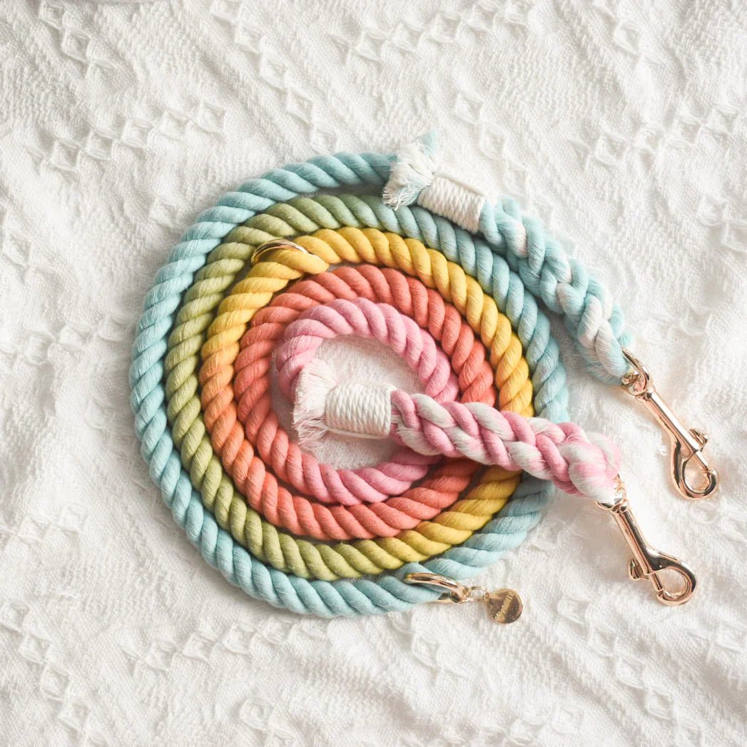 ROPE LEASH - SWEET LOLLIE - FurrrBabies & More! - rope leash
