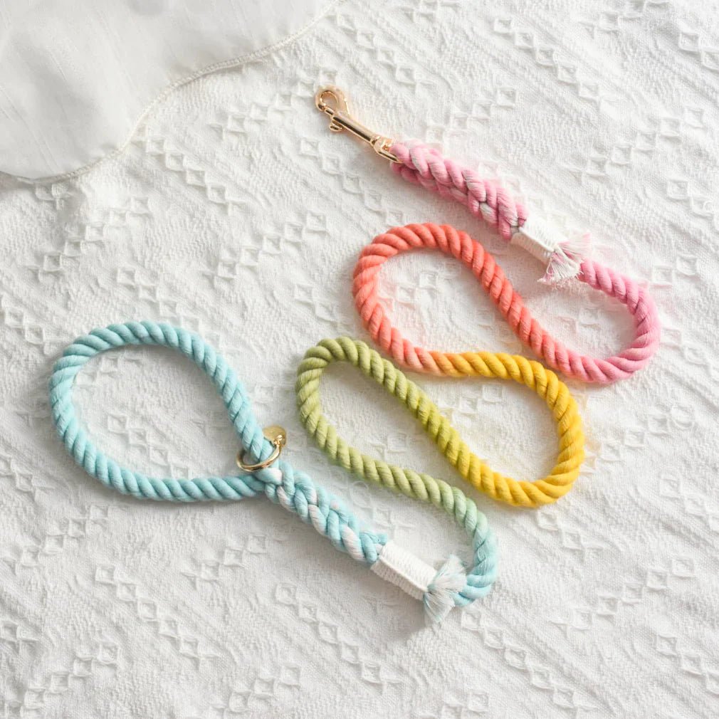ROPE LEASH - SWEET LOLLIE - FurrrBabies & More! - rope leash
