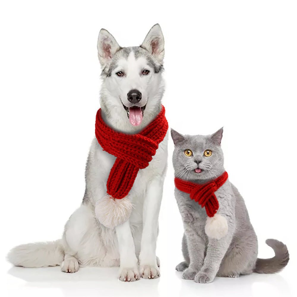 Scarf for pet - FurrrBabies & More! - Outfits for pets