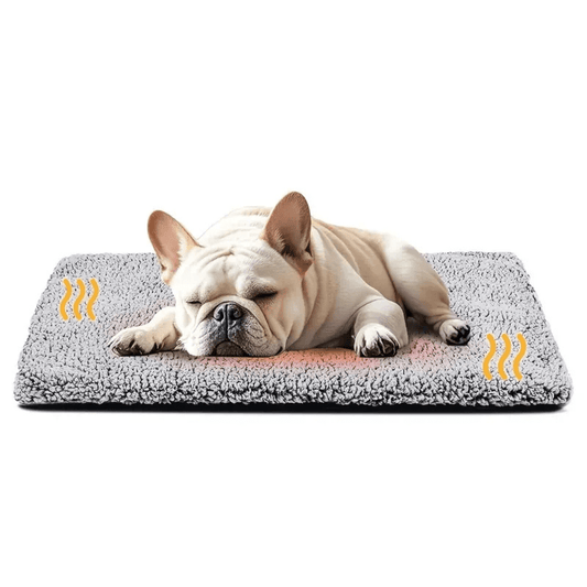 Self - Heating Pet Pad Blanket - FurrrBabies & More! - 313043264200