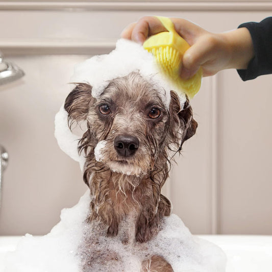 Silicone Pet Grooming Fur Brush - FurrrBabies & More! - 7445017695628