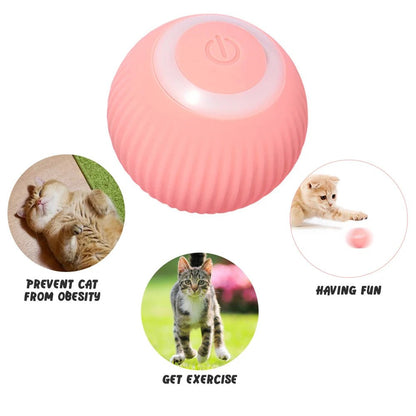 Smart Cat Toys Automatic Rolling Ball Electric Cat Toys Interactive for Cats Training Self - Moving Kitten Toys for Indoor Playing - FurrrBabies & More! - 313040755794
