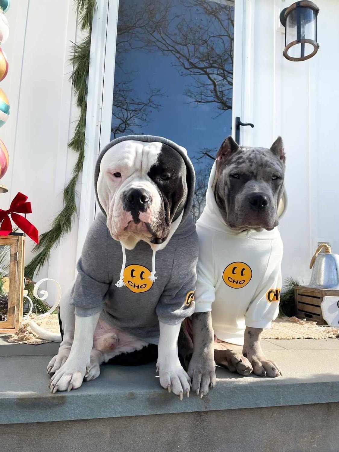 Smiley Dog Hoodie Stylish Dog Clothes Smiley Face Sweater Cotton Sweatshirt Fashion Outfit for Dogs Cats Puppy Small Medium Large (X - Large, Grey) - FurrrBabies & More! - 7445052490486