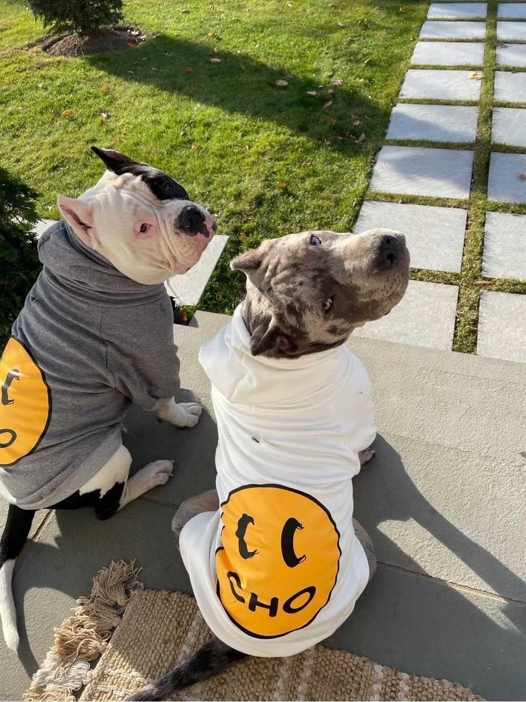 Smiley Dog Hoodie Stylish Dog Clothes Smiley Face Sweater Cotton Sweatshirt Fashion Outfit for Dogs Cats Puppy Small Medium Large (X - Large, Grey) - FurrrBabies & More! - 7445052490486