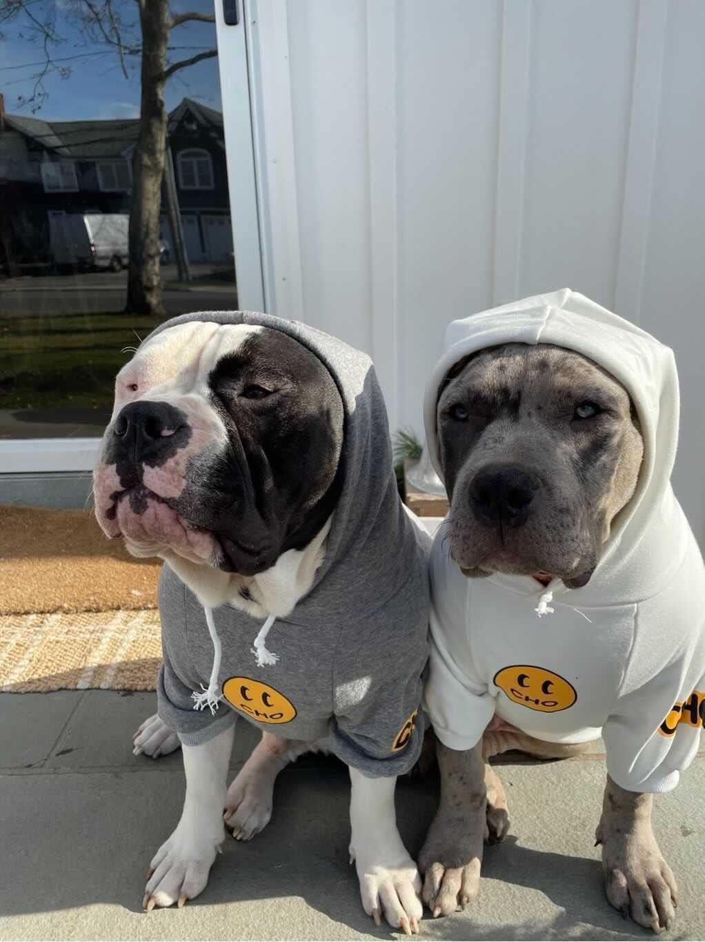 Smiley Dog Hoodie Stylish Dog Clothes Smiley Face Sweater Cotton Sweatshirt Fashion Outfit for Dogs Cats Puppy Small Medium Large (X - Large, Grey) - FurrrBabies & More! - 7445052490486
