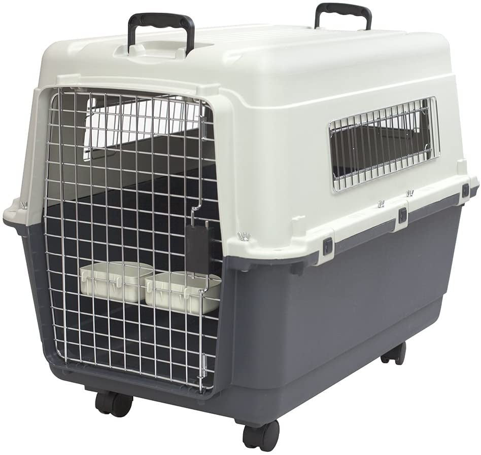 Sportpet Airline Compliant LARGE 31.5" Travel Dog Kennel - Durable Plastic Airline Pet Carrier W/ Removable Wheels & Food Bowls, Collapsible Indoor/Outdoor Dog Kennel, Dogs up to 28"L & 20"H - Cream/Gray - FurrrBabies & More! - 726084523548