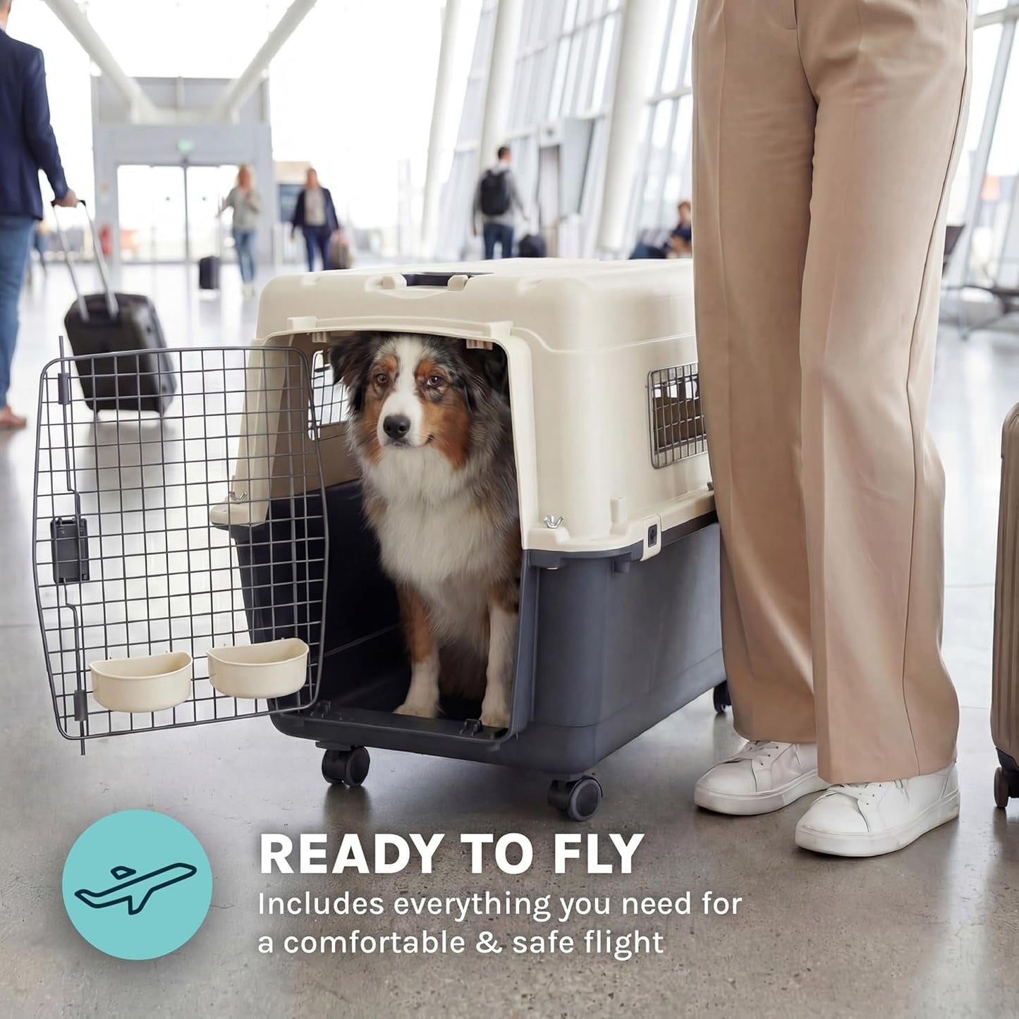 Sportpet Airline Compliant LARGE 31.5" Travel Dog Kennel - Durable Plastic Airline Pet Carrier W/ Removable Wheels & Food Bowls, Collapsible Indoor/Outdoor Dog Kennel, Dogs up to 28"L & 20"H - Cream/Gray - FurrrBabies & More! - 726084523548
