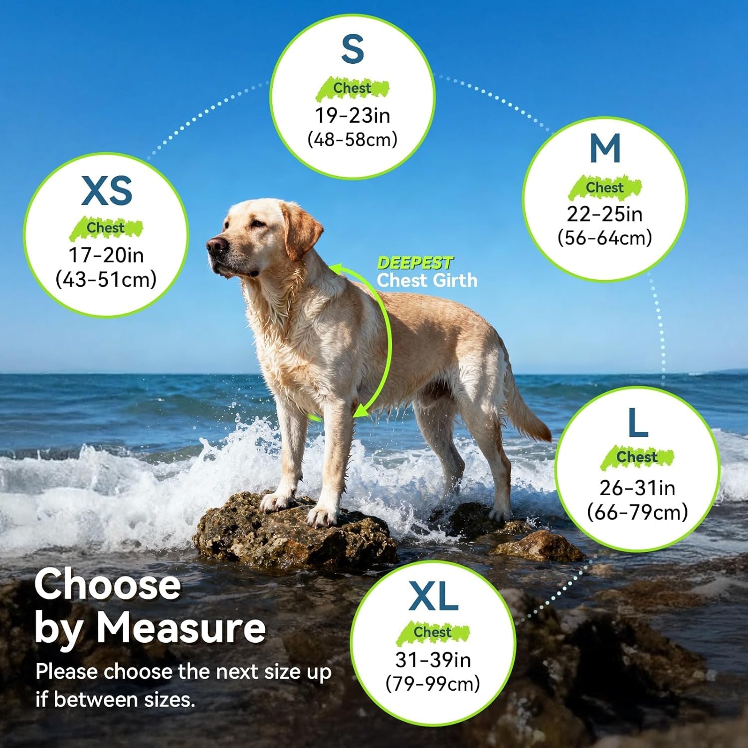 Sports Style Dog Life Vest, Dog Life Jacket for Swimming & Boating, Ripstop & Buoyancy for Puppy Doggy, Lifejacket with Handle, S, Bright Yellow - FurrrBabies & More! - 313103781715