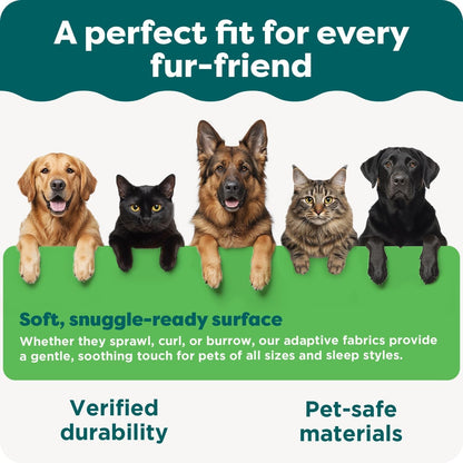 Steady Paws Multi - Step Pet Stairs for High Beds & Sofas - Brown, 4 - Step - FurrrBabies & More! - 313051847808