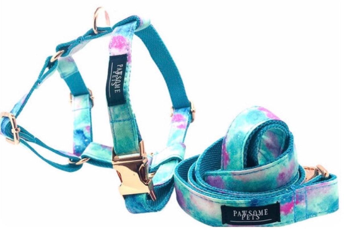 STEP IN BUNDLE - SKY (2 PIECES) - FurrrBabies & More! - rope leash