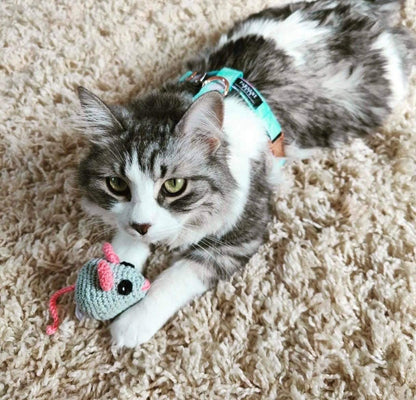 STEP IN BUNDLE - SKY (2 PIECES) - FurrrBabies & More! - rope leash