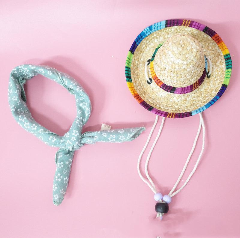 Summer Adventure Pet Accessory Set - FurrrBabies & More! - Dog Clothing & Accessories