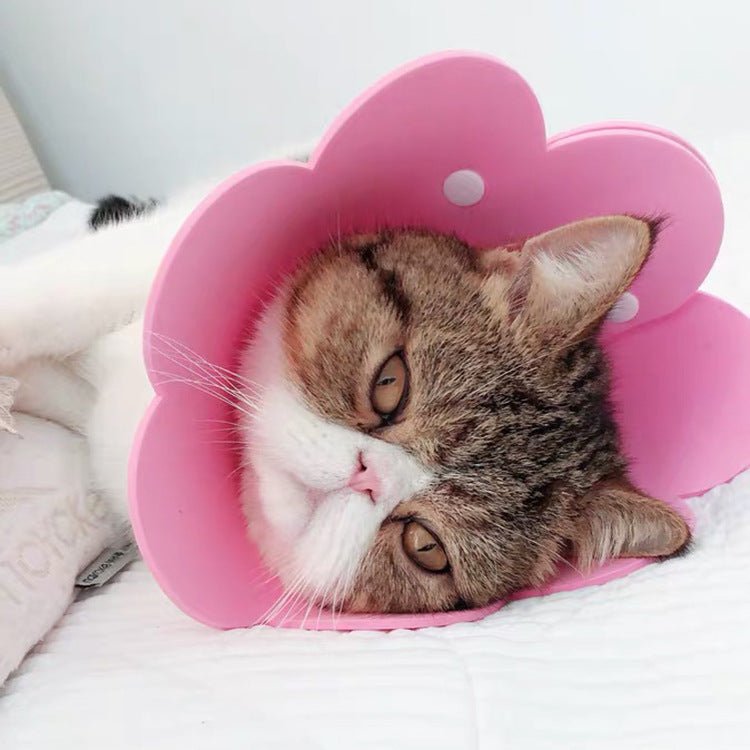 Sunflowers Anti Bite Healing Wound Pet Collar Cone Supplies - FurrrBabies & More! - Outfits for pets