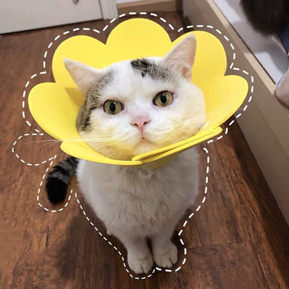Sunflowers Anti Bite Healing Wound Pet Collar Cone Supplies - FurrrBabies & More! - Outfits for pets