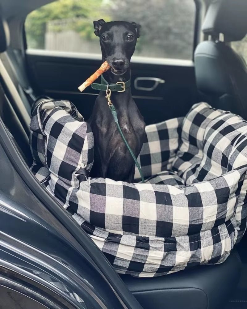 Travel Booster Car Seat – Cozy, Secure, and Stylish for Every Pet Adventure! - FurrrBabies & More! - 705353642449
