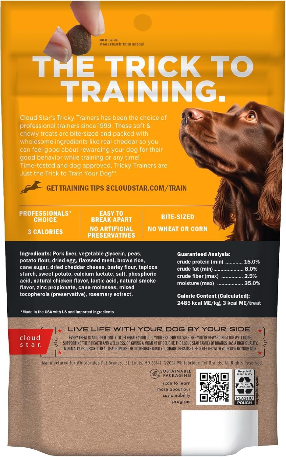 Tricky Trainers Soft & Chewy Dog Treats, Cheddar, 5 Oz. Pouch - FurrrBabies & More! - 7445048230249