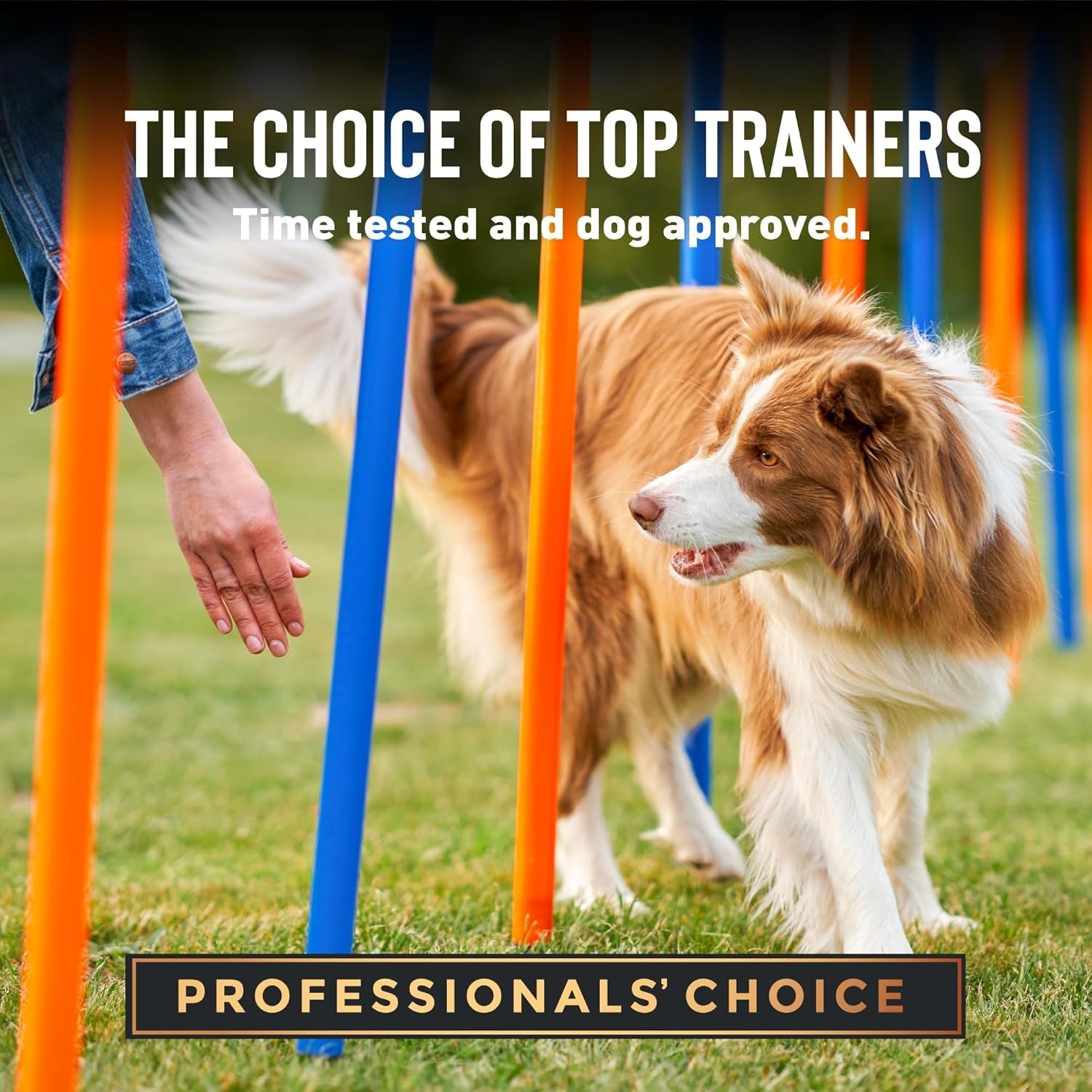 Tricky Trainers Soft & Chewy Dog Treats, Cheddar, 5 Oz. Pouch - FurrrBabies & More! - 7445048230249