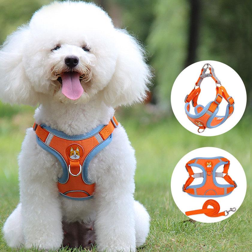 Ultimate Comfort And Safety Pet Harness Set - FurrrBabies & More! - Dog Collars, Leashes & Harnesses