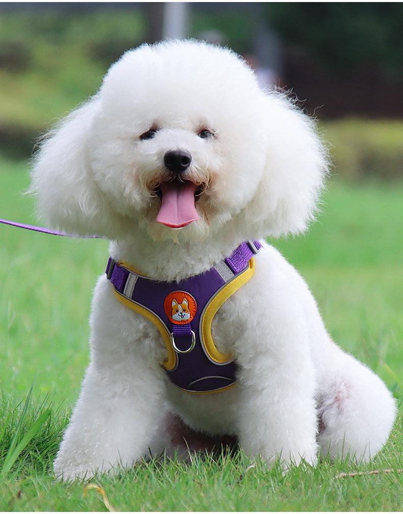 Ultimate Comfort And Safety Pet Harness Set - FurrrBabies & More! - Dog Collars, Leashes & Harnesses