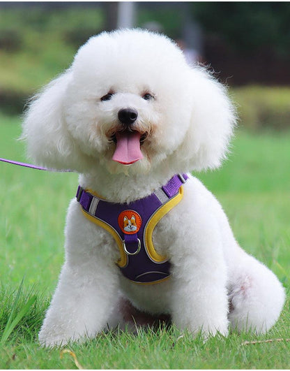 Ultimate Comfort And Safety Pet Harness Set - FurrrBabies & More! - Dog Collars, Leashes & Harnesses