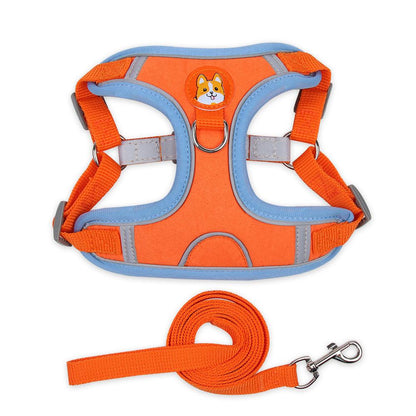 Ultimate Comfort And Safety Pet Harness Set - FurrrBabies & More! - Dog Collars, Leashes & Harnesses