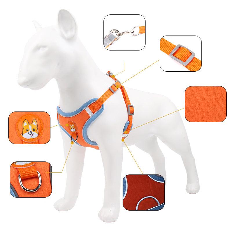 Ultimate Comfort And Safety Pet Harness Set - FurrrBabies & More! - Dog Collars, Leashes & Harnesses
