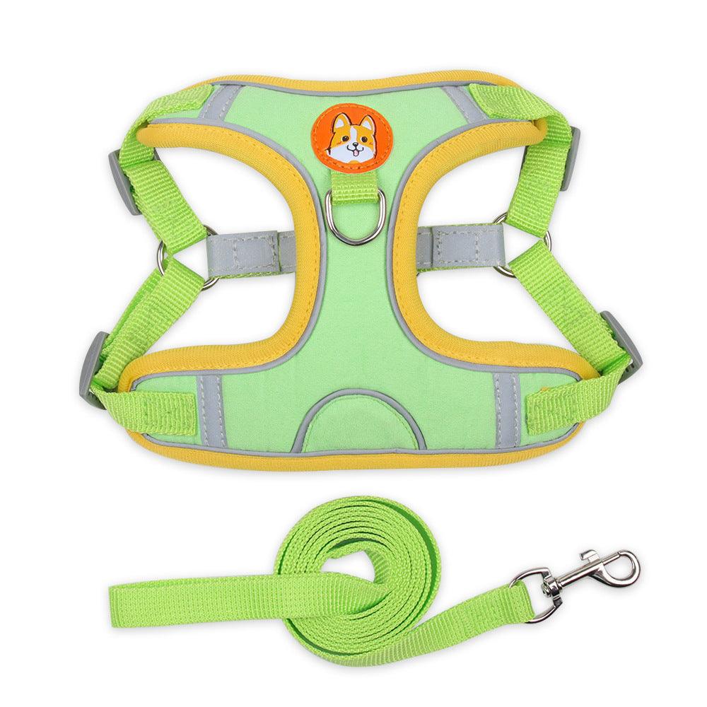 Ultimate Comfort And Safety Pet Harness Set - FurrrBabies & More! - Dog Collars, Leashes & Harnesses