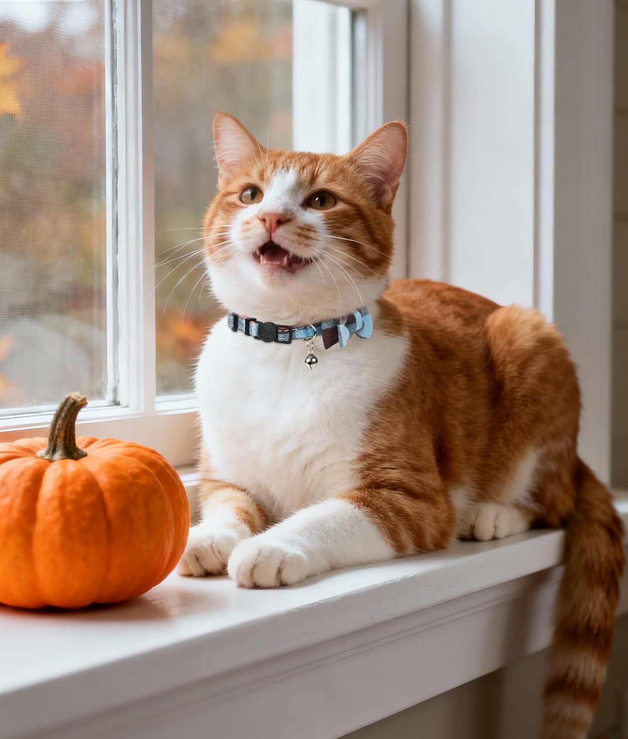 Upgraded Cat Collar with Bells, Breakaway Cat Collars with Bow Tie, 1 Pack Girl Boy Safety Plaid Kitten Collars, Haze Blue - FurrrBabies & More! - 313030196170