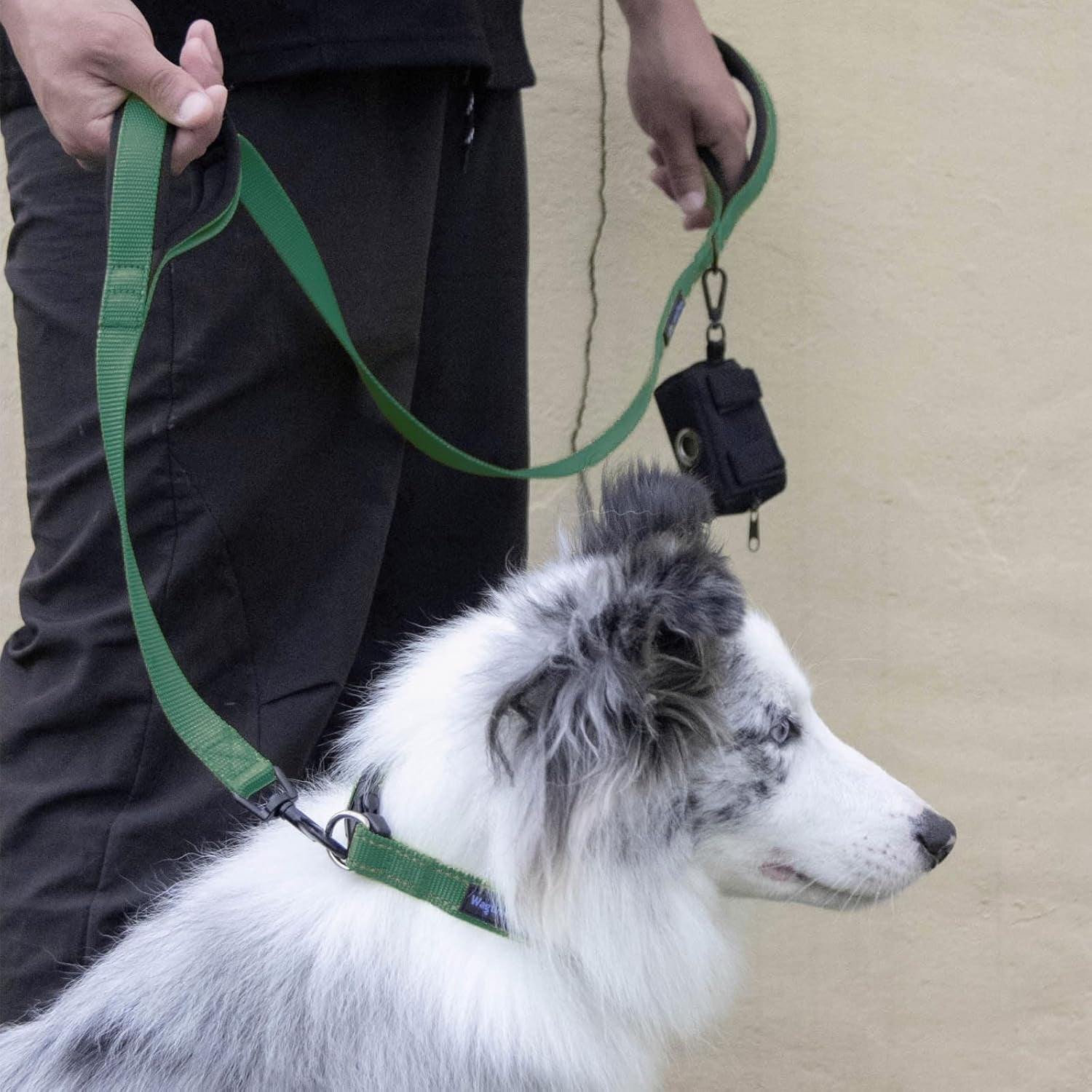 Wagtime Club Double Handle Dog Leash, 6Ft Long Heavy Duty Dog Leash with Paded Traffic Handles for Extral Control and Training, Dual Handles Leads, Large Medium Small Dogs (Hunter Green) - FurrrBabies & More! - 313109442412